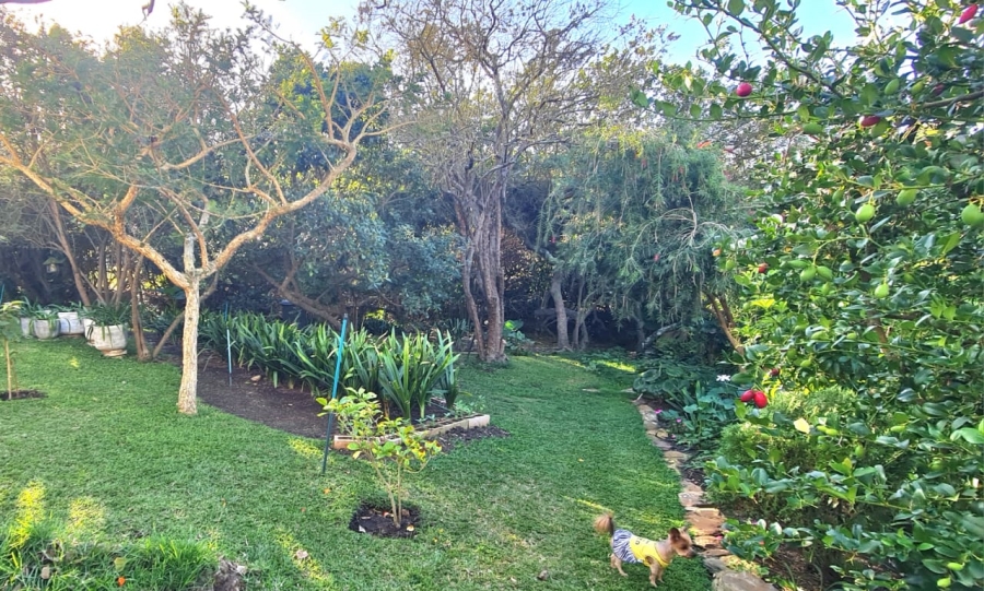 4 Bedroom Property for Sale in Wavecrest Eastern Cape